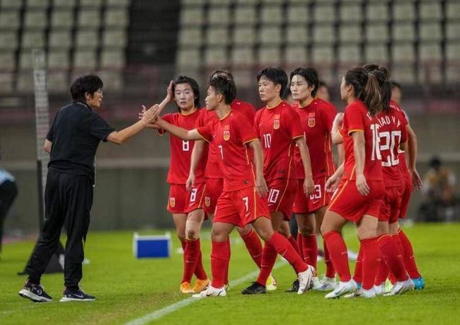 故事讲述了伊丽莎白·班纳特和马克·达西的故事，他们最终坠入爱河，但在伊丽莎白的父亲寻找男性继承人的过程中，他们不得不克服重重困难。