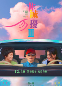 谍中谍3虽然在故事情节上没有什么太大的突破，但导演把经历更多的放在了动作场面上。